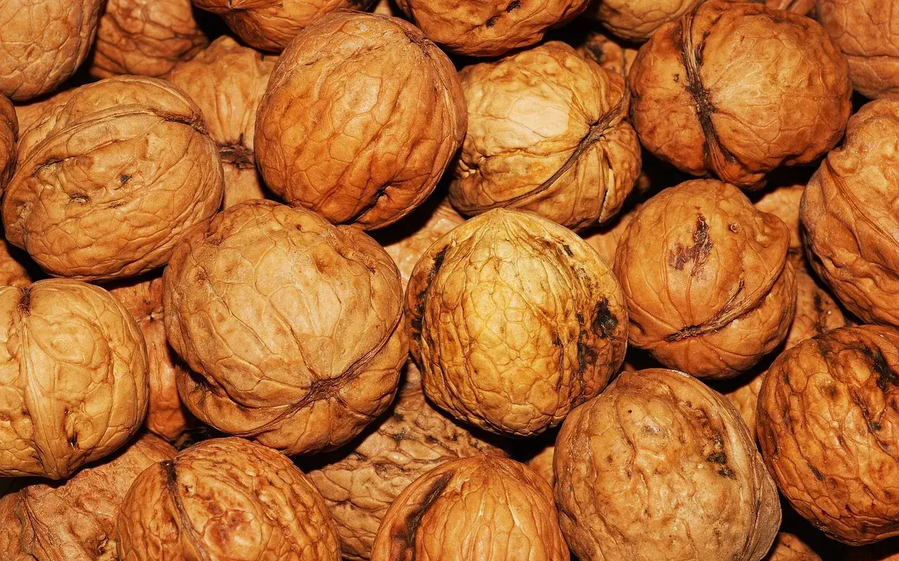 Nuts in bulk